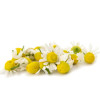 Lotiune pentru picioare, cu plante BIO, Life Care®